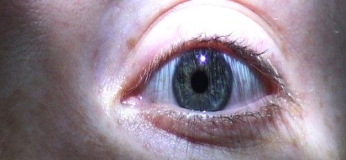 Traces of Light, 2013